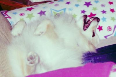 share everything share everything