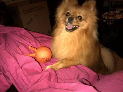 Pooky relaxing Pooky relaxing