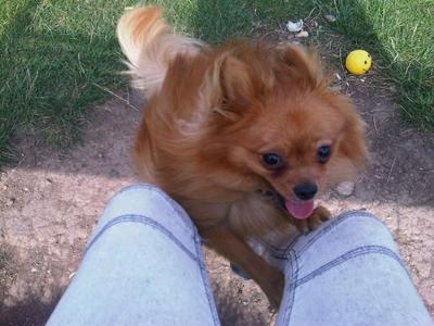 and more Pookie and more Pookie