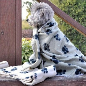 1. Paw Print Soft Blanket