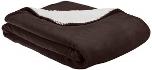 2. American Kennel Club Blanket
