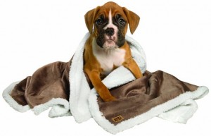 3. Animal Planet Sherpa Blanket