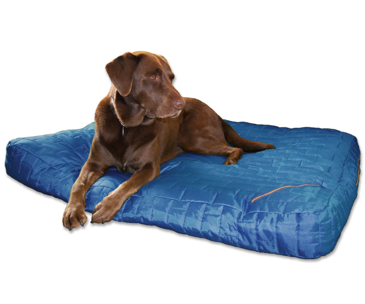 Best Dog Bed Cover Reviews