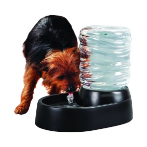 Electronic Indoor Dog Fountain