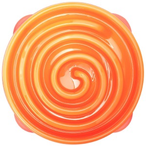 Interactive Smart Dog Bowl