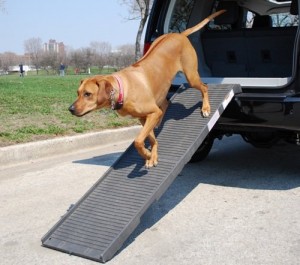 International Foldable Dog Ramp