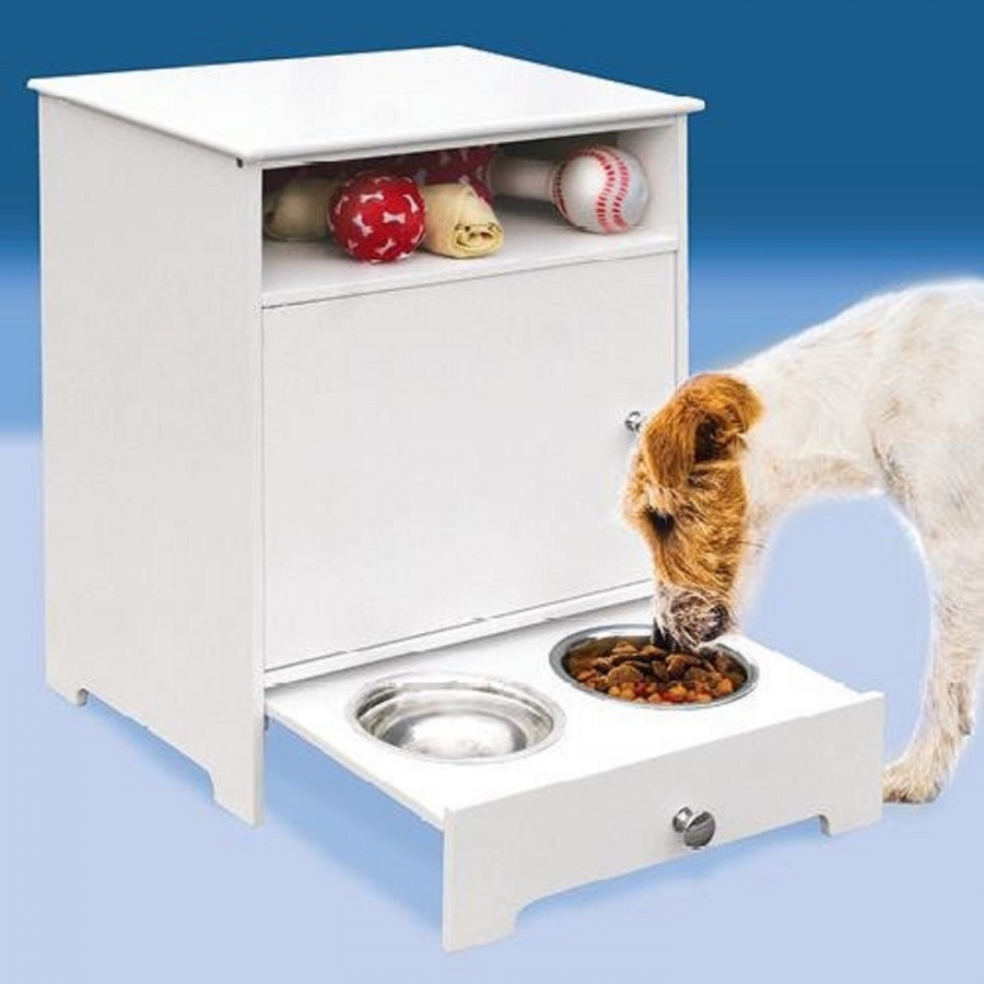 10 Best Dog Feeding Station Reviews